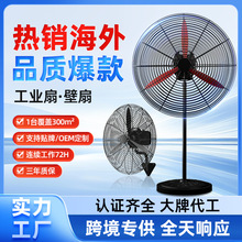 �����L������ȹ��I�ȴ���ţ���ȹ��S�����܇�g�������׃�l