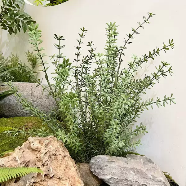 in stock Simulation False Mori System Courtyard Balcony Plant Wall Flower Groove Decoration Pine Grass Fern Leaf Bundle Potted Fern