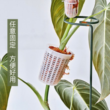 Ҭ�ػ���@ˇ��ֲ֧�ΗU�辰��Ʒ�ؙ��p�@�G�}�������������ؘ�Ƥ