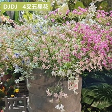�Ĳ�������С�� ���ǻ�С�׻���֧���ϻ�С�黨�Ҿӻ�c���滨