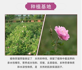 花水纯露;植物香料;化妆水爽肤水