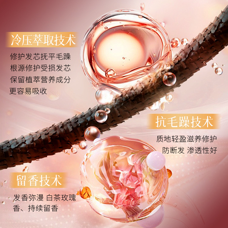 Bai Zhen Tang Yuanqi jengibre brillante aceite esencial para el cabello nutrir y reparar el cabello anti-rotura, cabello suave, aceite esencial para el cabello mayorista