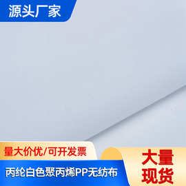 丙纶白色聚丙烯PP无纺布 医疗卫生家纺家居包装袋无纺布面料