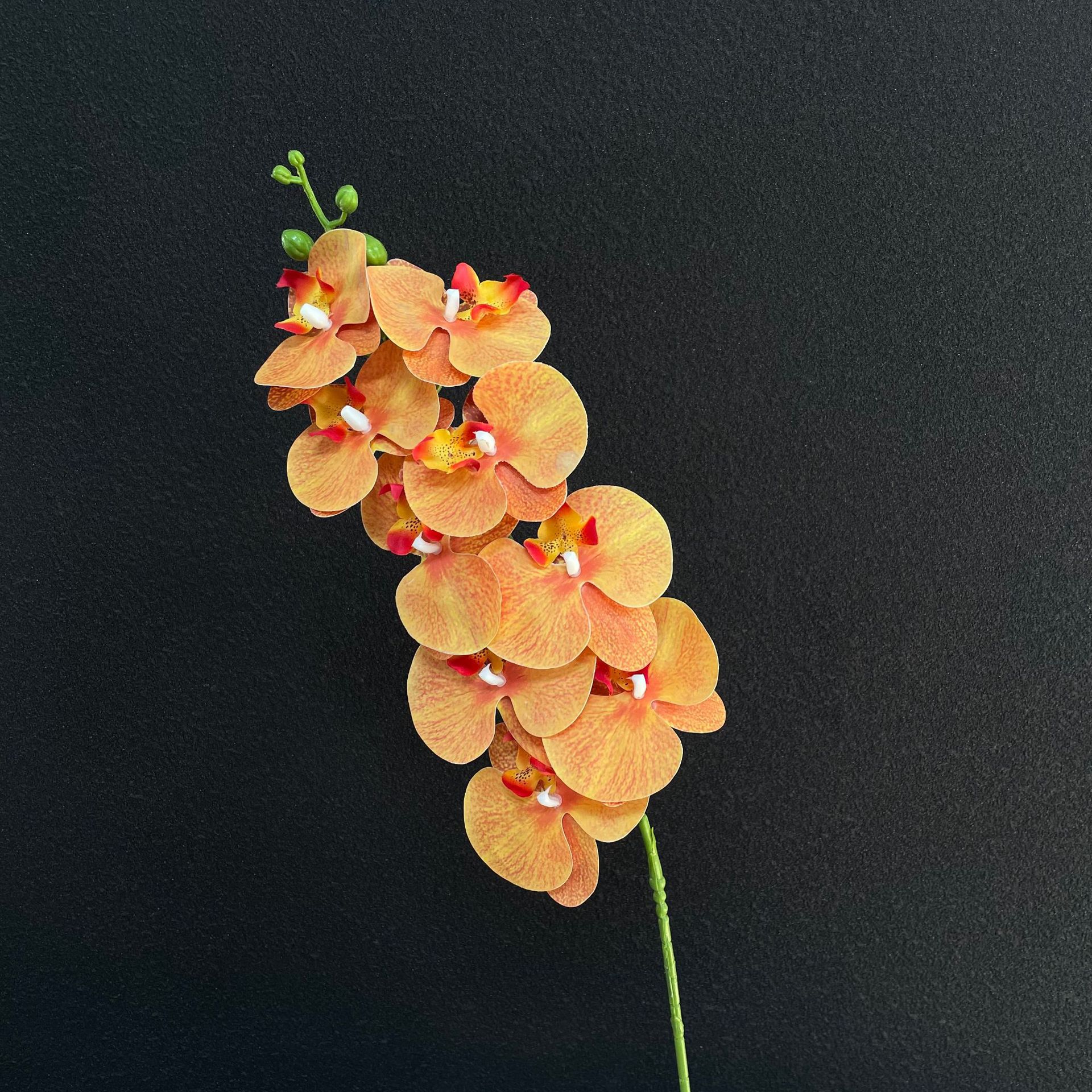 가을 노란색 3D 호접란
