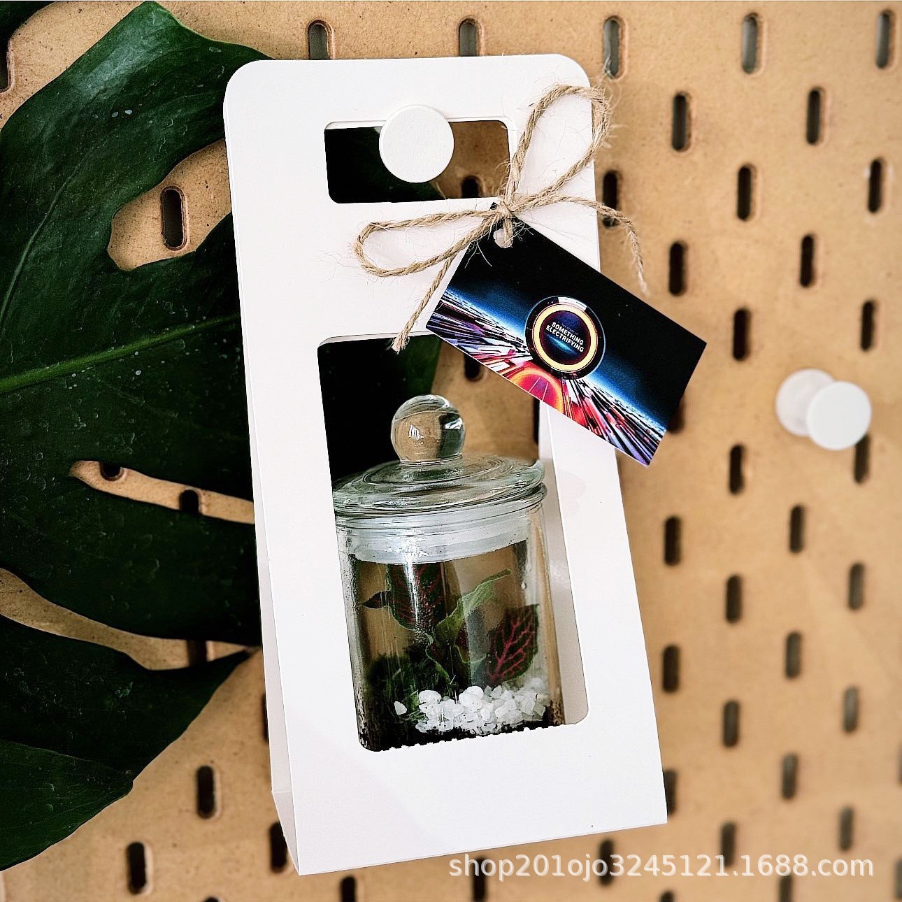 主图详情 (10).jpg