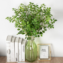 ��Ʒ�߷���t�^ľ�~ͥԺ�bҾӿ͏d���Ҕ[�������쾰����Gֲ