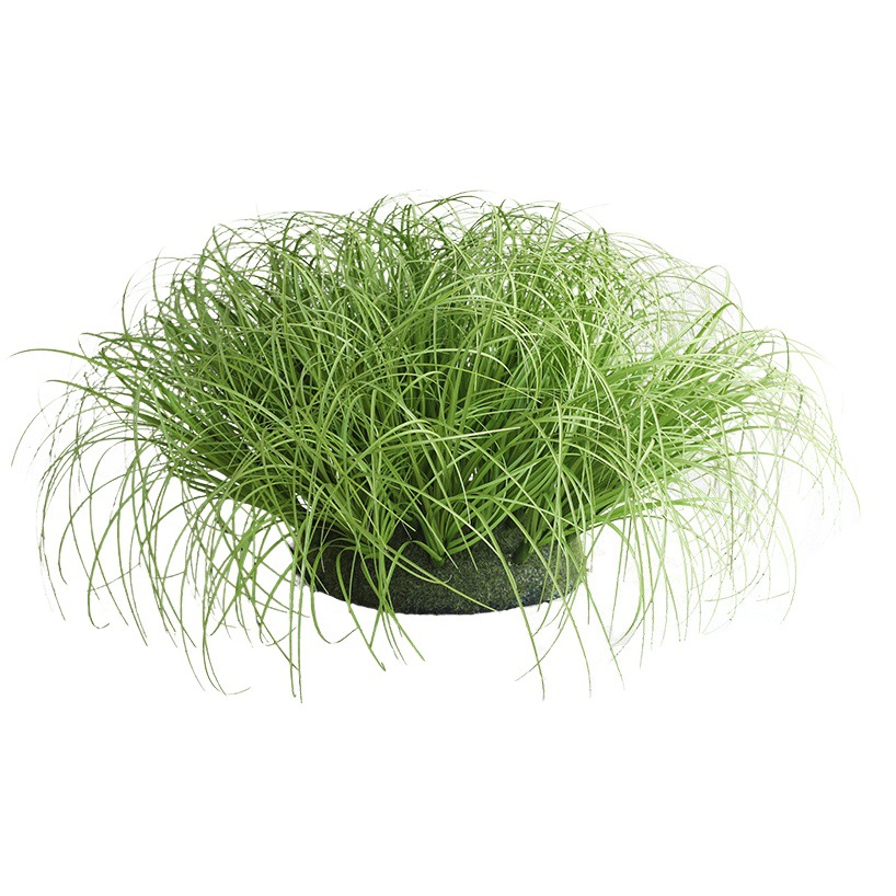 Nordic ins decoración del hogar simulación futón individual simulación de pared de plantas de simulación cebolla verde flor artificial