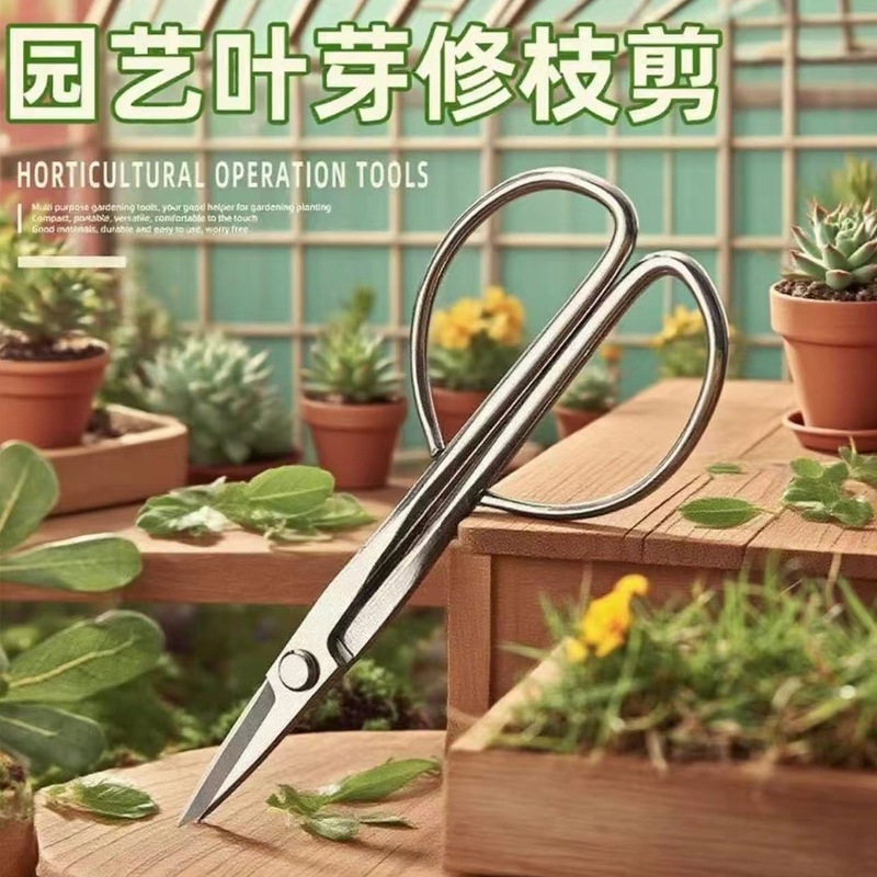 叶芽剪全钢一体不锈钢材质园艺剪叶芽剪嫩芽剪刀插花盆景枝呀剪刀|undefined