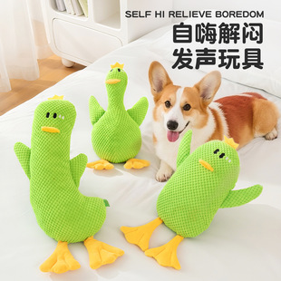 �羳�������ë�q��ҧ��˯�l���ӌ������˽␞��»� ë�q���