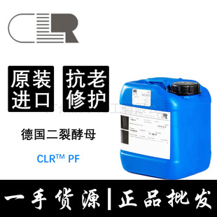 CLR���ѽ�ĸ�l�ͮa���ܰ�������ѽ�ĸ���ϻ�DNA�ޏ�С��ƿԭ��