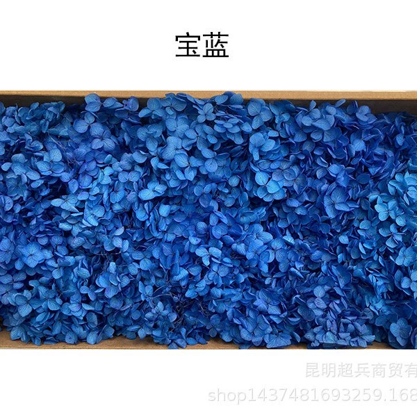 [Вечная Life Flower Hydrangea] Анна Градиентный цвет Лист Hydramid Книга цветов оптом DIY цветочная коробка материал для просмотра