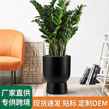 �ߙn����ˮ����մɻ����V���ڏ��A�θ��_�l�y��̖�҃����Ԍ���