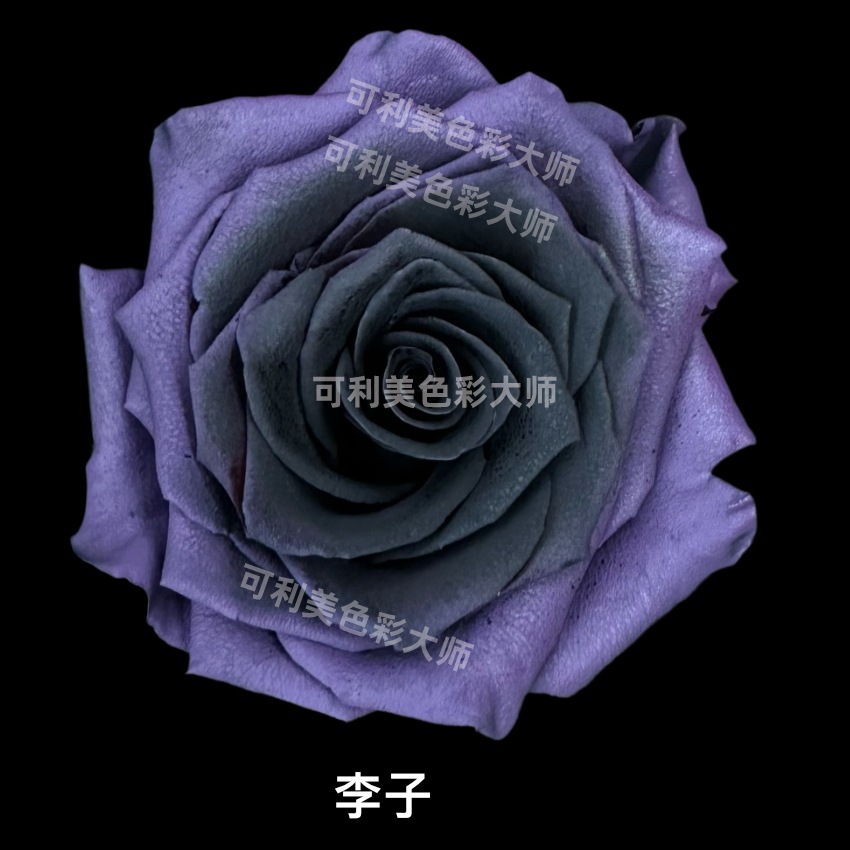 可利美色彩大师鲜花喷色剂密西根碎冰蓝鲜切花吸色剂颜料花艺喷漆