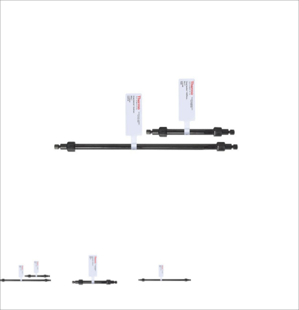 赛默飞Dionex CarboPac PA300-4µm 四极杆色谱柱分析柱303346