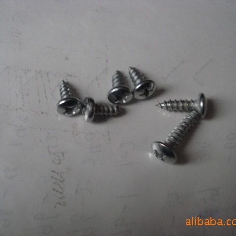 供应十字槽扁圆头自攻螺丝(图)