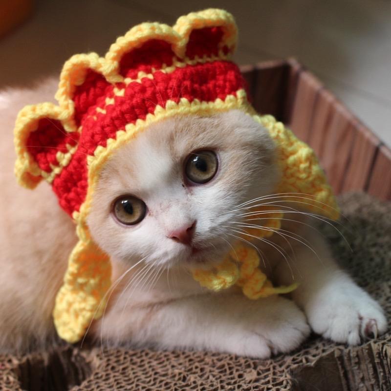 당승모자