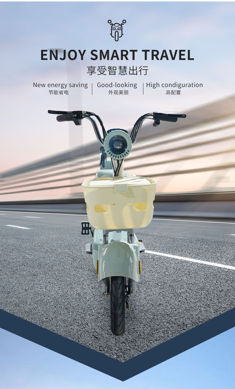 Foreign Export Wholesale of Large Quantities of Electric Motorcycles, 48V High-Power Cross-Pedal Electric Bicycles, Bubble Wholesale