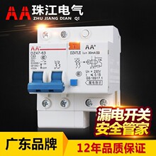 一珠双极2p漏电保护器家用室内电器电闸开关