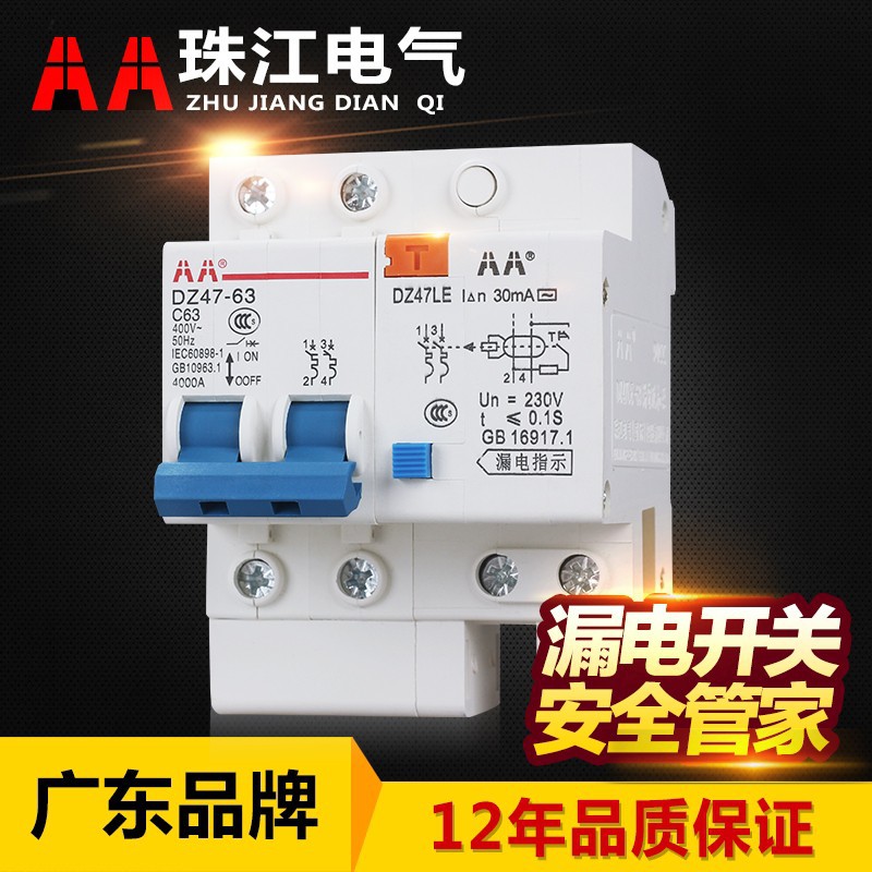 一珠双极2p漏电保护器家用室内电器电闸开关