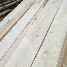 供应椿木烘干板 家具板材 椿木家具 木板材 无节白椿木拼板木板材