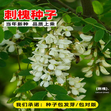 ���l�̻��N���o�¹����׻��̻����㻨�����뻱�󻱻�����N��