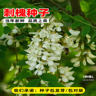 ���l�̻��N���o�¹����׻��̻����㻨�����뻱�󻱻�����N��