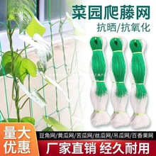 ���پW�r��ֲ��ɽș�S���㶹��϶��ǽz�ϵ��ϰ���������W�Nֲ�W