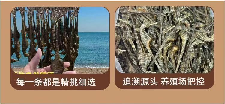 Dried Seahorse Hai Ma 3-4g Whole Dried Sea Dragon Tonic Herb for Culinary and Traditional Use specifications