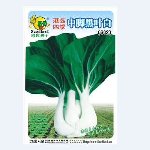 ϲ���߲˷N�Ӹ��x�ļ����_���~��602������@¶���̨����ͥԺ