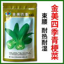 ļ๣˷NѸ߮aϺN͟͝СͲ彭߲˷N