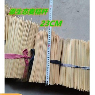 �՗U���l�q���ն�ԭ���������F�����ն�����С����