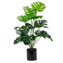 Wֲ~~b[18^˽پGֲl