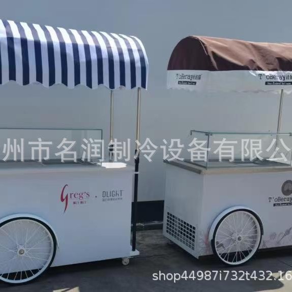 Carrito de helados, camión de helados, carrito de snacks, furgoneta de helados, venta directa de fábrica, puede usar electricidad de 110V para venta ambulante al aire libre.