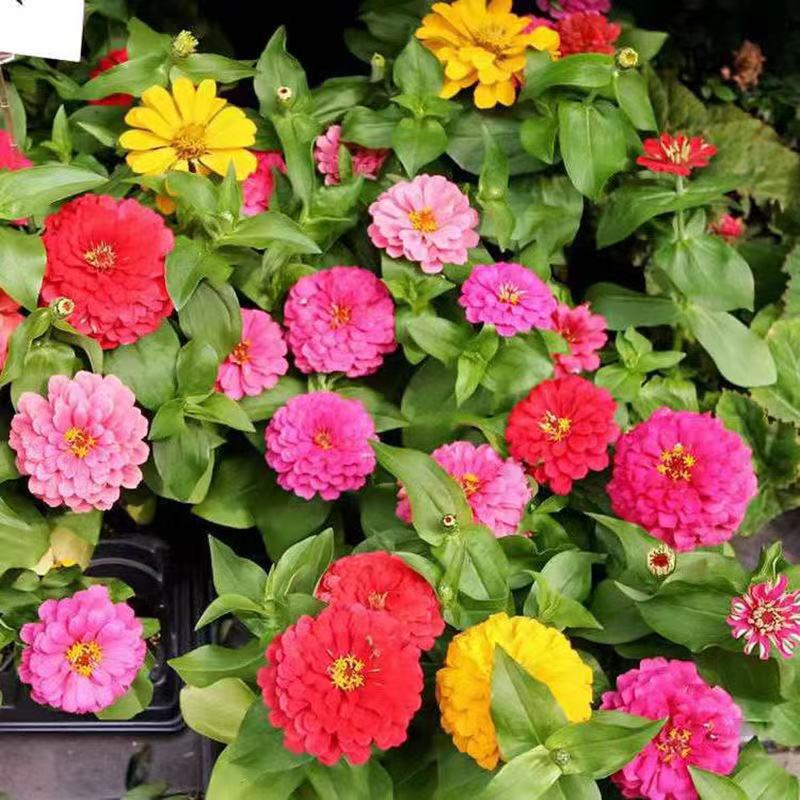 ΢��ͼƬ_20220831161849