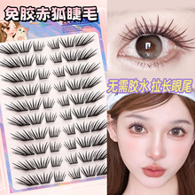 �z�zС�����ٽ�ë�ֹ���ܛ�p�g���ֆδؾ��N�ֶ�ʽ��жС��Ƭ