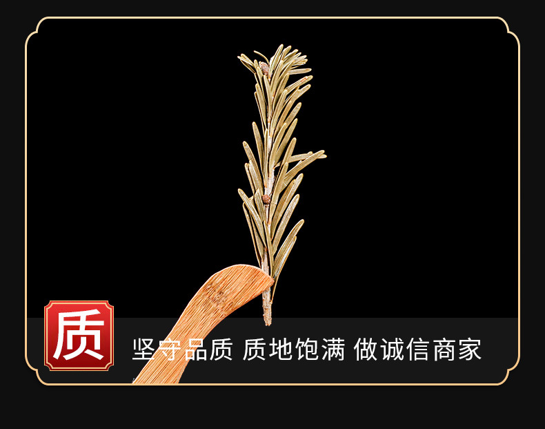 Hong Dou Shan Leaves (Taxus chinensis) — Dried Chinese Yew Leaf Herb, 500g key features