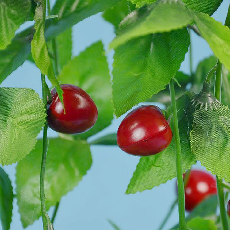 Photo Screen Simulation Flower Simulation Fruit Rattan Home Decoration Ceiling Small Plastic Fruit Flower Vine Plastic Flower Vine
