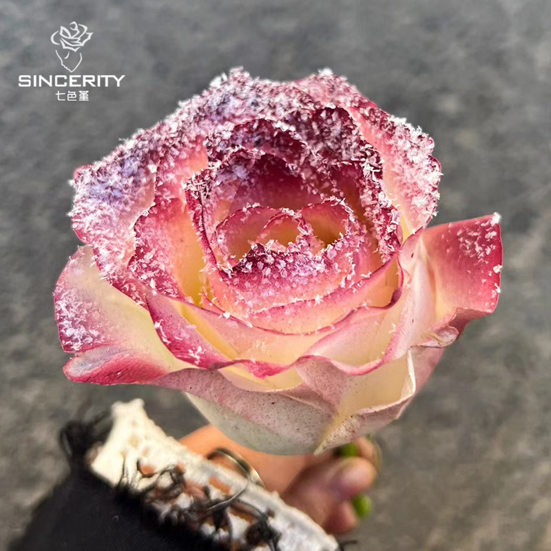 Navidad flores de nieve helada flores no derretidas paisaje de nieve floral blanca polvo de peluche imitación flocos de nieve