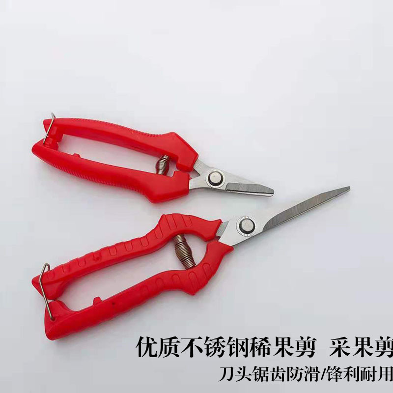 山藤不锈钢园艺剪稀果剪葡萄剪枸杞剪采果剪刀果把剪番茄剪疏果剪