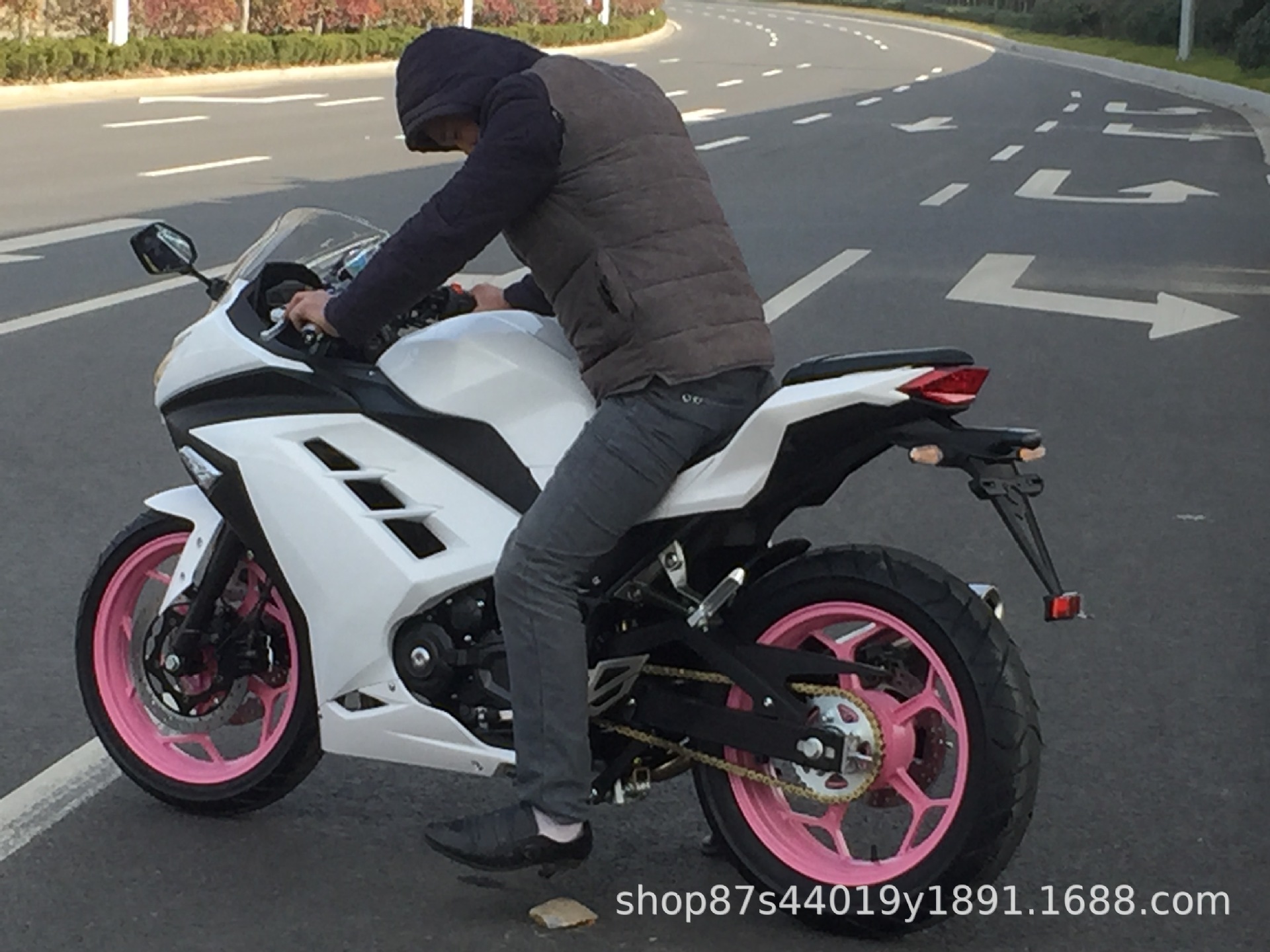 License-able motorcycle Kawasaki Ninja, twin-cylinder racing replica, Horizon sportbike, adult gasoline-powered sportbike, complete vehicle