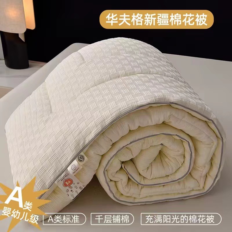 Class A Xinjiang waffle cotton quilt core spring and autumn quilt single student dormitory quilt thickened warm four seasons universal