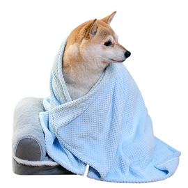 狗狗服装;狗狗清洁;宠物绝育服/生理裤