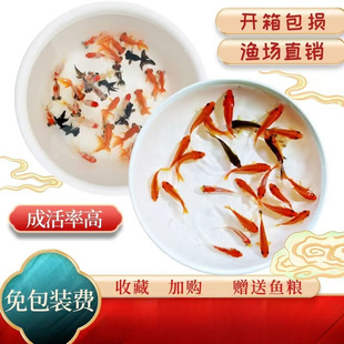 ��ˮС���~�^�p�~���N�\���~С�^�p�~�ͻ���ˮ�~��t���~