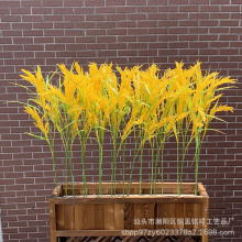 仿真假禾苗塑料稻谷黄水稻金色长款5叉稻穗批发大麦 麦穗花束道具