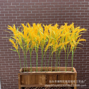 ����ٺ������ϵ����Sˮ����ɫ�L��5�浾�����l���� ���뻨������