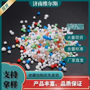 �S��ֱ�N����ʏͺϷ� ����ͺϷ����׷ʿ�ጷ��� ɽ�|�����F؛