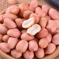 季節の新商品の白砂生ピーナッツ