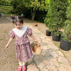 Cross-border children's clothing for girls, lace collar summer dress, new Korean style for baby girls, stylish floral princess dress