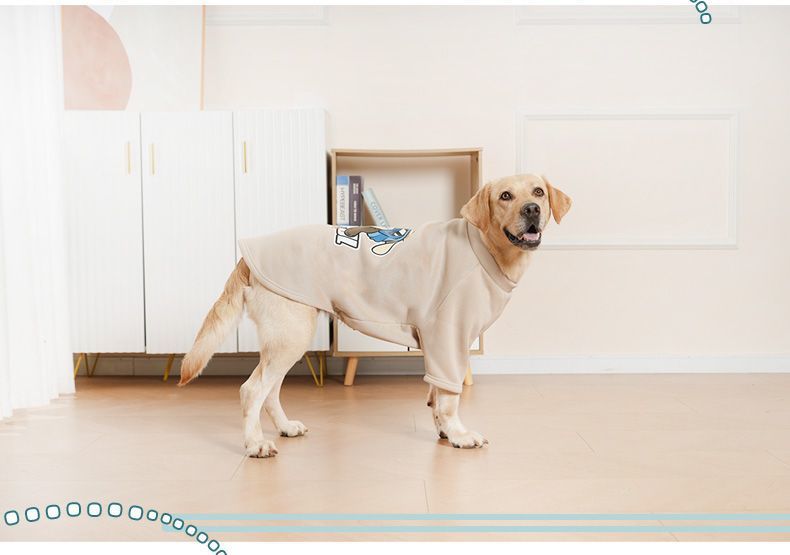 e2cb067b-365a-4b8c-8e45-6a901b9ff0a2.jpe