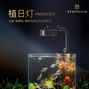 ���rֲ�՟�FN006�~�ן�ˮ�ݟ�ledȫ���VС�Ͳݸ�΢���^����������